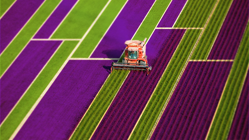 O que é e o que você precisa saber sobre agricultura de precisão