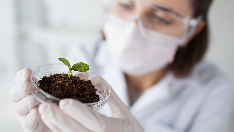 Biotecnologia: o que é e qual a sua relevância para a soja