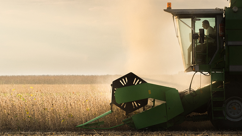 Conheça os 5 principais cuidados pré-colheita da soja