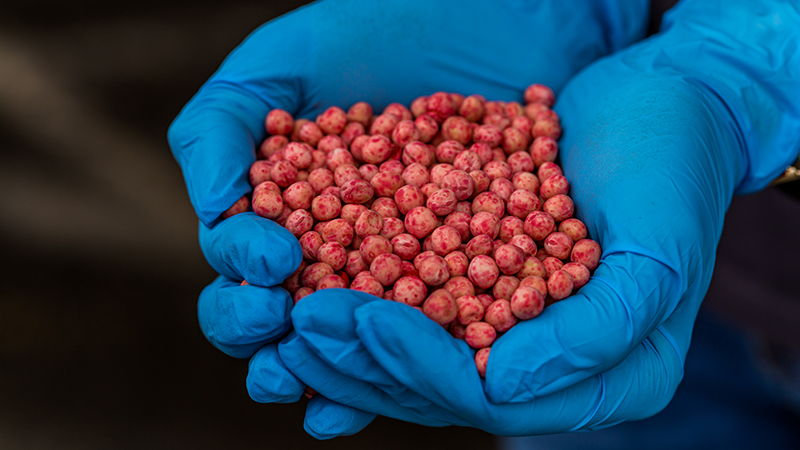 Boas práticas para uma safra de sucesso desde a origem