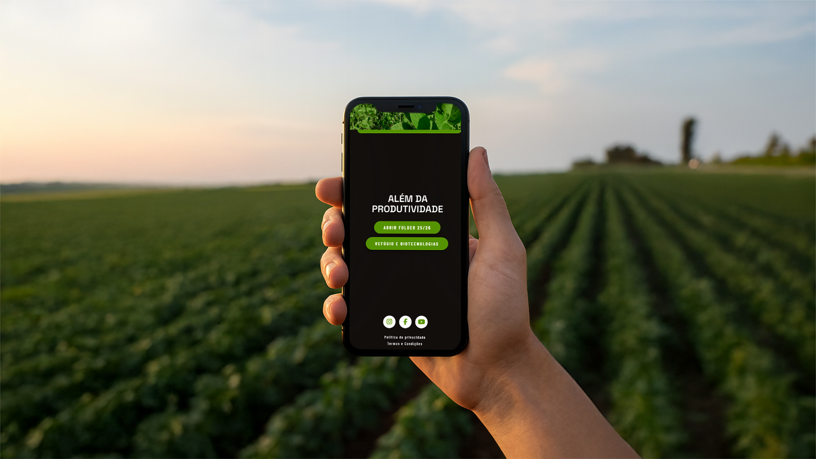 A evolução continua: lançamentos e inovações da safra 2026/2027