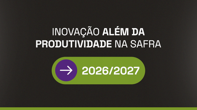 Inovação além da produtividade na safra 2026/2027
