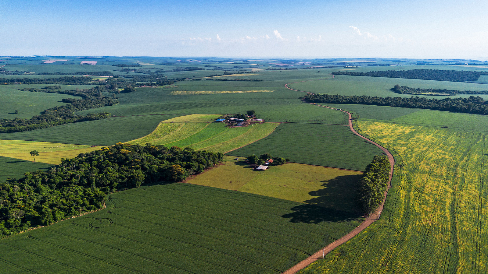 A semente certa no lugar certo: o que você precisa saber sobre  posicionamento de cultivares